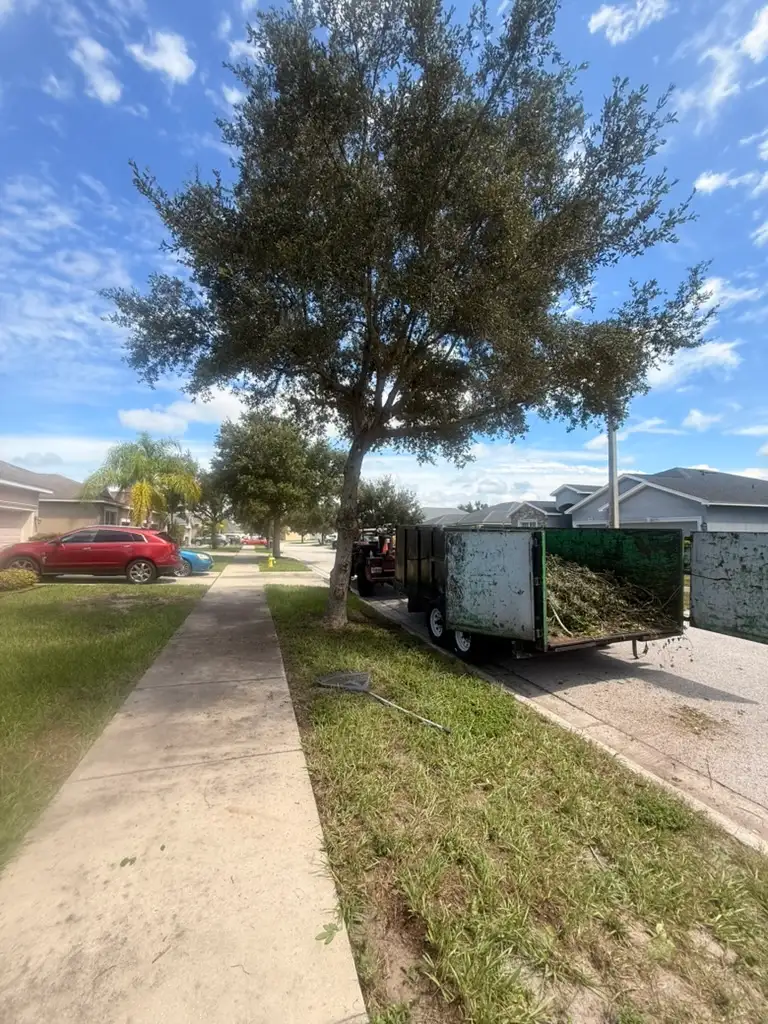Neighborhood trim