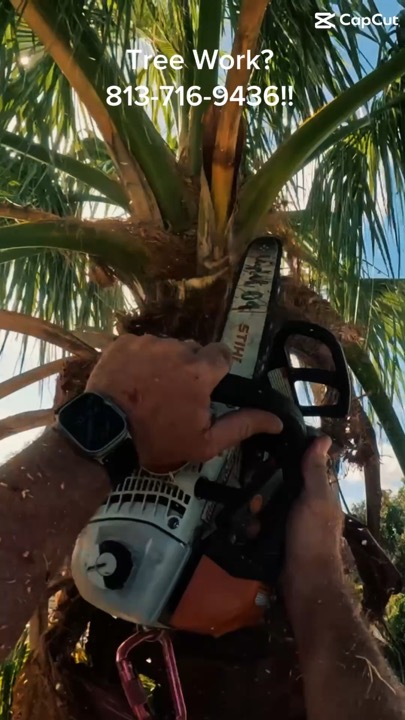 Palm work