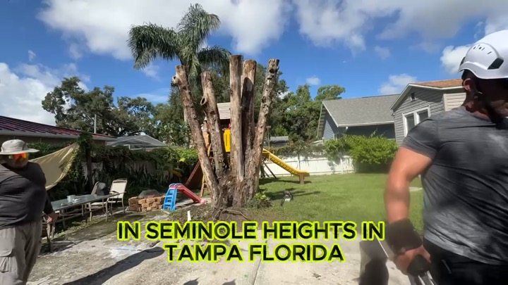 Seminole Heights removal